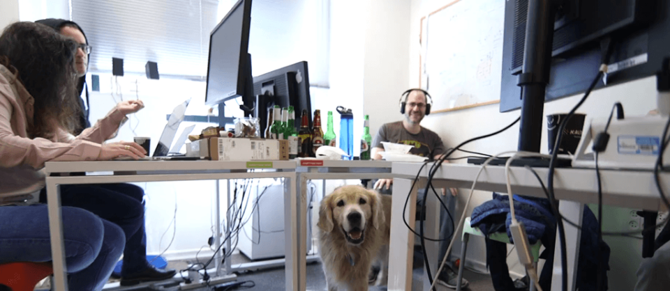 Kaltura Video Platform 