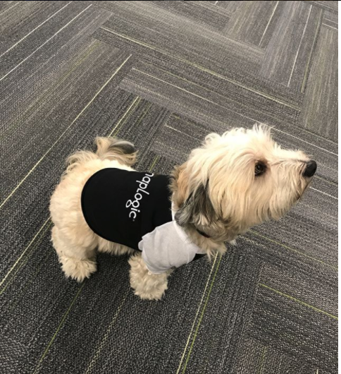 SnapLogic подбор