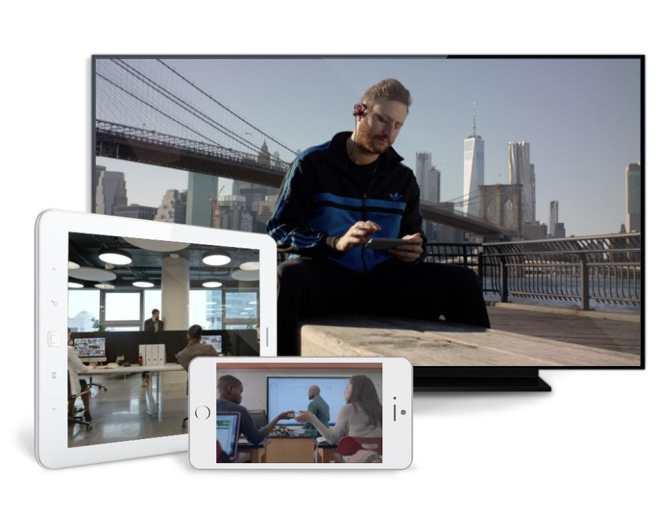 Kaltura Video Platform 