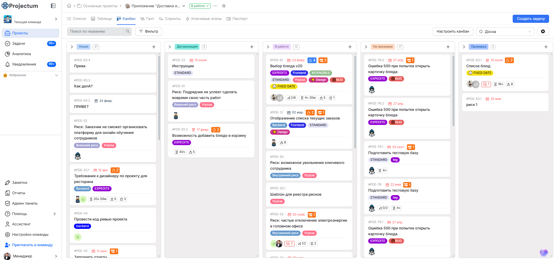 Projectum характеристики