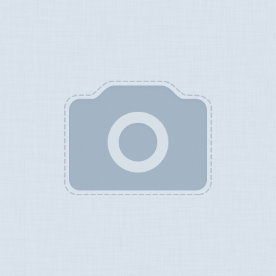 Даниил Николаев